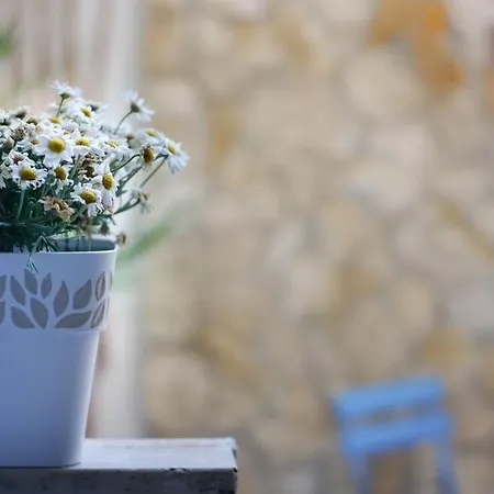 Blue Courtyard - Scardicchio Maisons * בארי